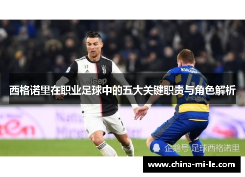 西格诺里在职业足球中的五大关键职责与角色解析 西格诺里在职业足球中的五大关键职责与角色解析
