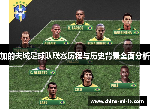 加的夫城足球队联赛历程与历史背景全面分析