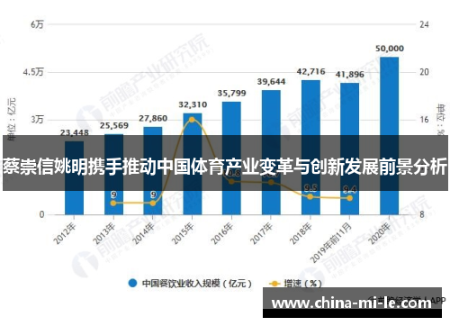蔡崇信姚明携手推动中国体育产业变革与创新发展前景分析