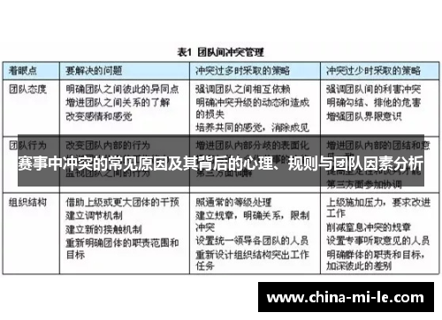 赛事中冲突的常见原因及其背后的心理、规则与团队因素分析