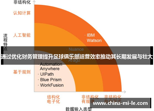 通过优化财务管理提升足球俱乐部运营效率推动其长期发展与壮大 通过优化财务管理提升足球俱乐部运营效率推动其长期发展与壮大