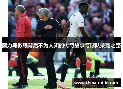 魔力鸟教练背后不为人知的传奇故事与球队荣耀之路